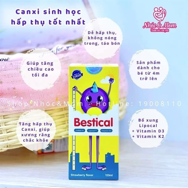 Canxi Bestical